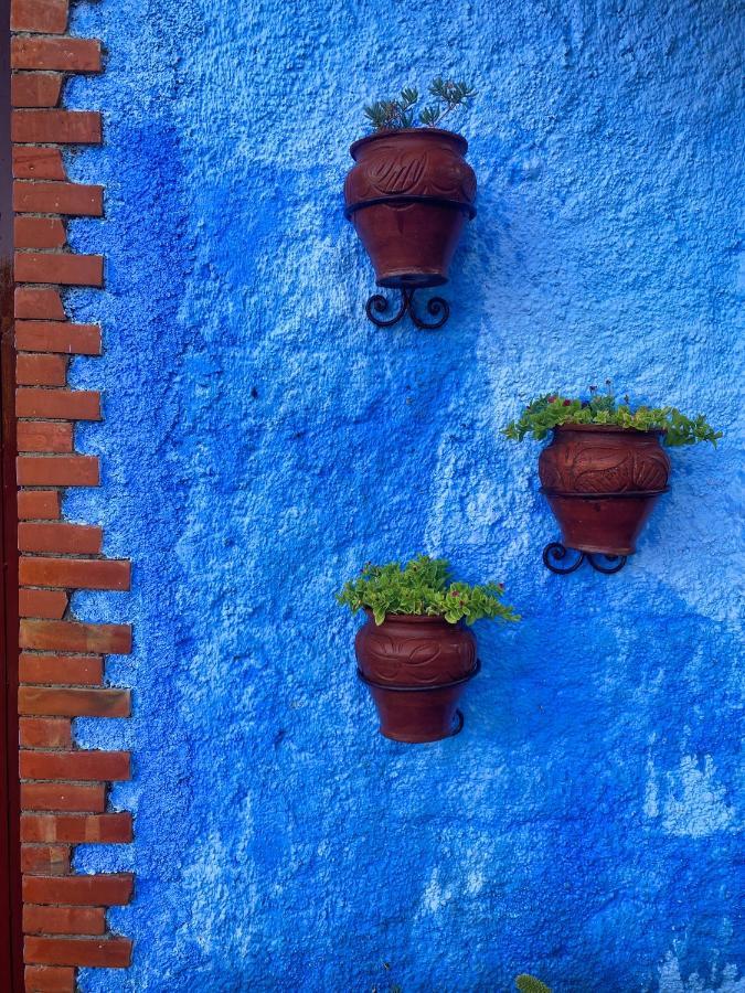 Villa Authentique Avec Vue Panoramique A 3 Km De Chefchaouen Exterior foto